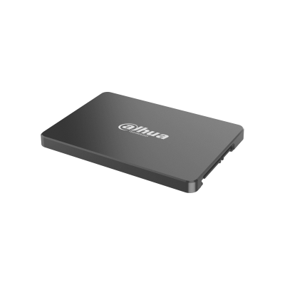 DHI-SSD-C800AS256G